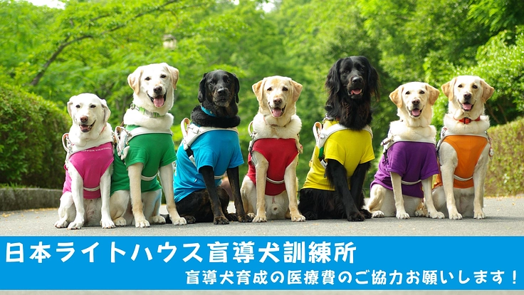 日本ライトハウス盲導犬訓練所のクラウドファンディング